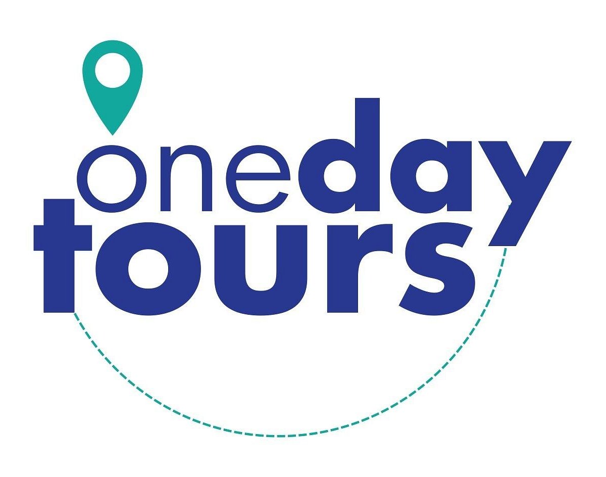 one day tours reviews