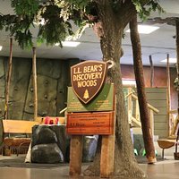 This exhibit is full of "outdoor" adventures! Try out our kid-sized rock wall, float a boat all the way down Cascade Stream, and pack one of our back packs with the day's provisions and set up camp. Explore basic survival tips with kids while using your imagination in the woods! Plus, be sure to check out our year-round observation beehive! Learn the bee dance, look for the queen and get an up-close view of worker bees buzzing into the hive with pollen.