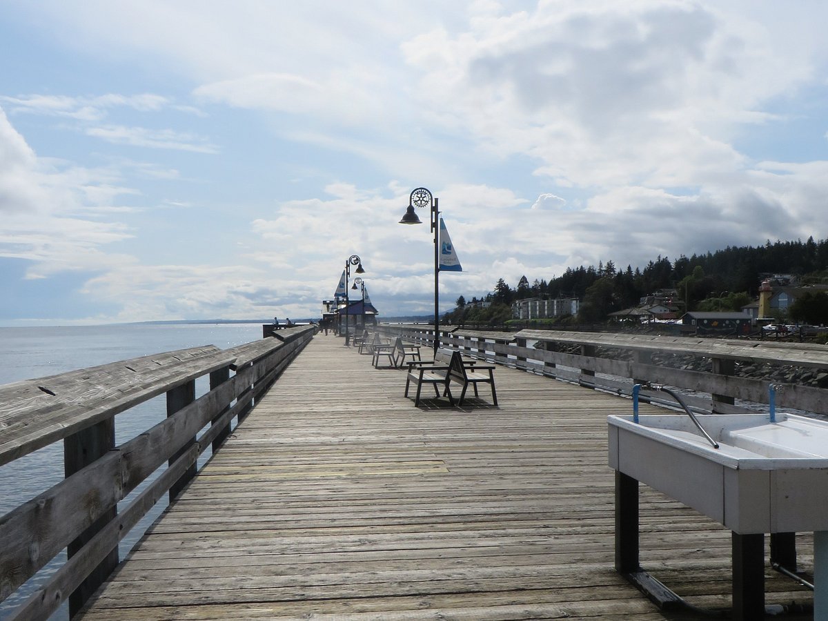 Landing Net - Picture of Discovery Fishing Pier, Vancouver Island
