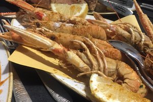 Cibo