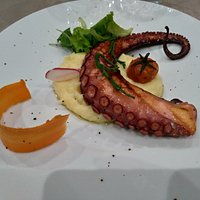 Il polpo