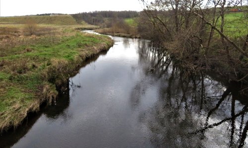 looking upstream 