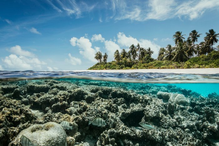 Robinson Maldives Pool Pictures & Reviews - Tripadvisor