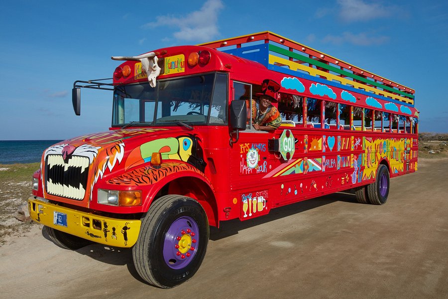kukoo kunuku party bus & beach tour royal caribbean