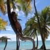 Alina🙂🏖