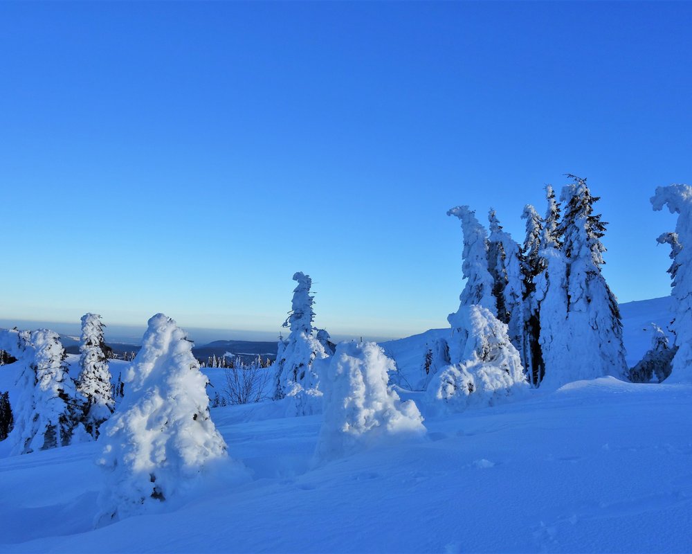 THE 5 BEST Things to Do in Hinterzarten - 2024 (with Photos) - Tripadvisor