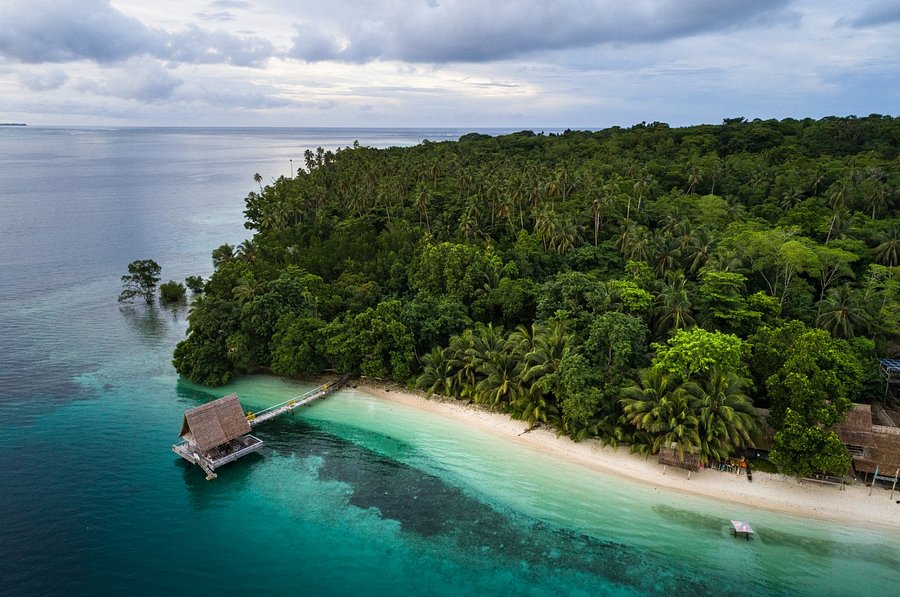 PAPATURA - Lodge Reviews (Papatura Island, Solomon Islands)