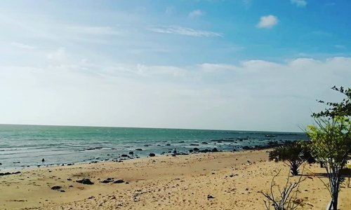 Ponnalai Point Pedro Road Dambakolaputuna Jaffna  You can book tours of Jaffna or wider Sri Lanka, through us by contacting us on +94770208589, rnthas@gmail.com.or follow us on FB at @rhtoursandtravelsjaffna