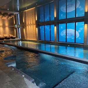 Hydro-pool & Indoor Pool