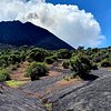 Things To Do in Private Tour: Pacaya Volcano Hike Experience from Antigua Guatemala, Restaurants in Private Tour: Pacaya Volcano Hike Experience from Antigua Guatemala