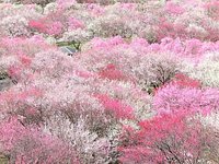 21年 いなべ市農業公園 行く前に 見どころをチェック トリップアドバイザー 21年 いなべ市農業公園 行く前に 見どころをチェック トリップアドバイザー