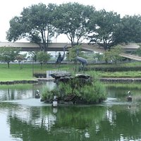 幸の池の中島にある鳥の像