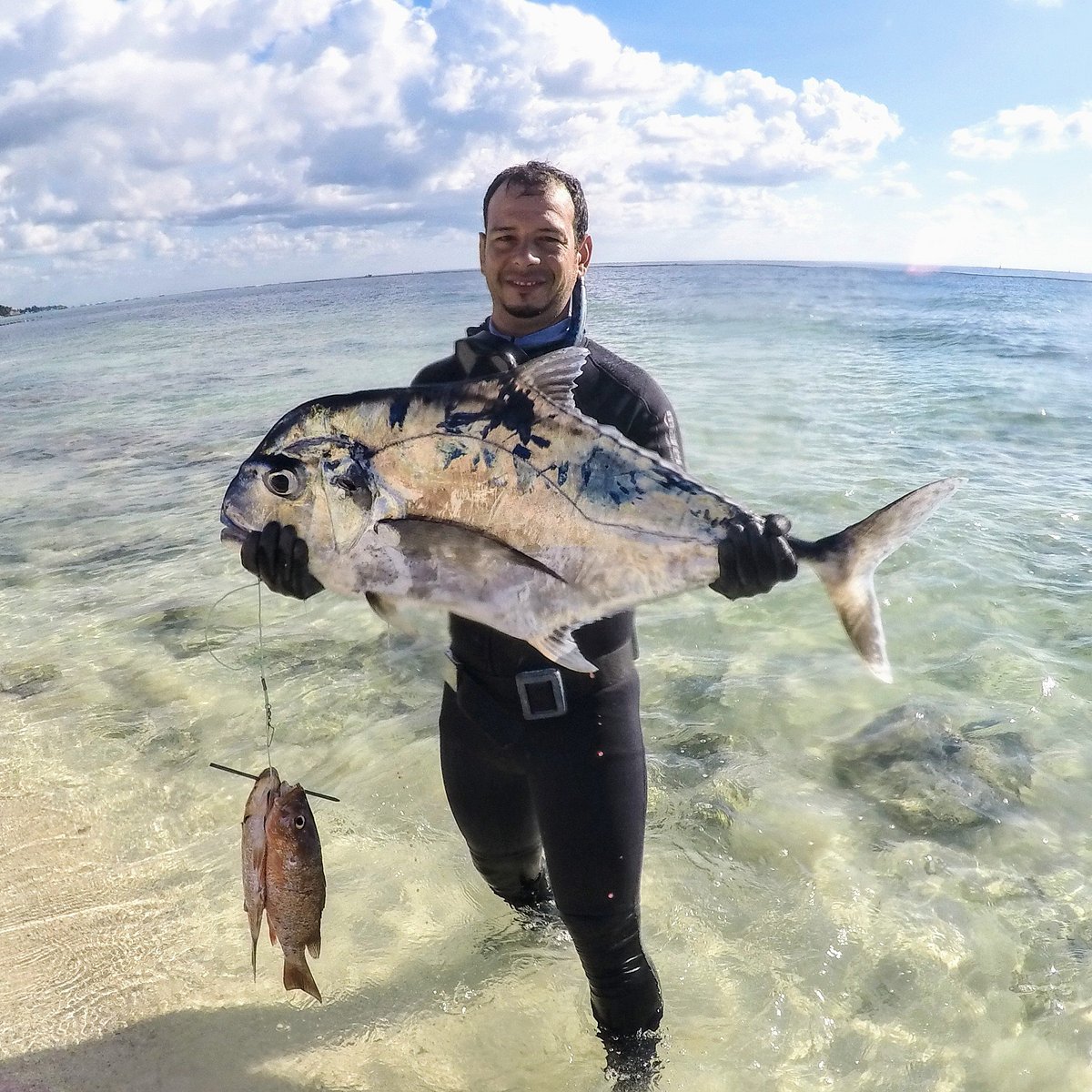 Easy Spearfishing - All You Need to Know BEFORE You Go (2024)