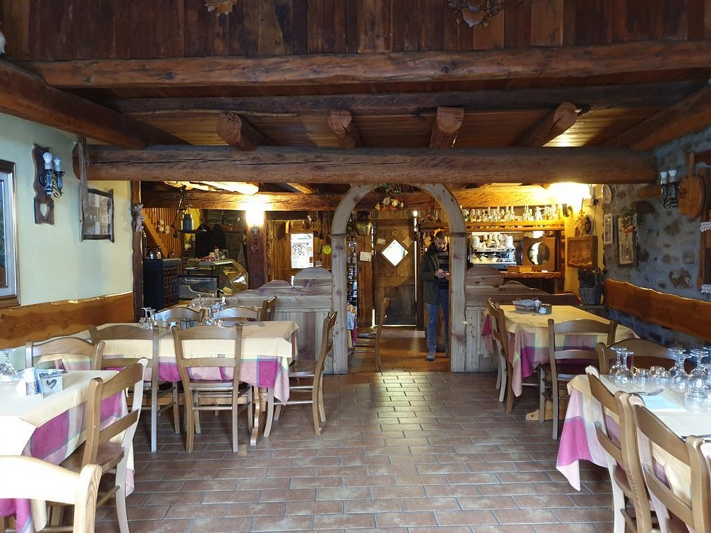 1 Pannello Fresco E Semplice Tenda Rami Asta Tasca Cafe - Temu Italy