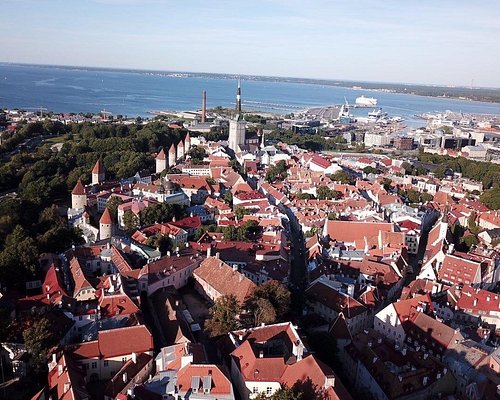 THE 5 BEST Tallinn Eco Tours (with Photos) - Tripadvisor