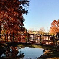 Bridge over the Pond