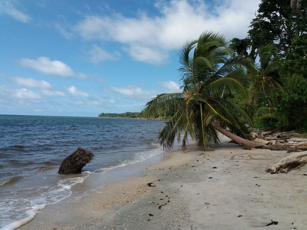 Costa Rica Viajeros (Puerto Limon) - All You Need to Know BEFORE You Go