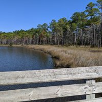 Tarkiln Bayou Preserve State Park - All You MUST Know Before You Go (2024)