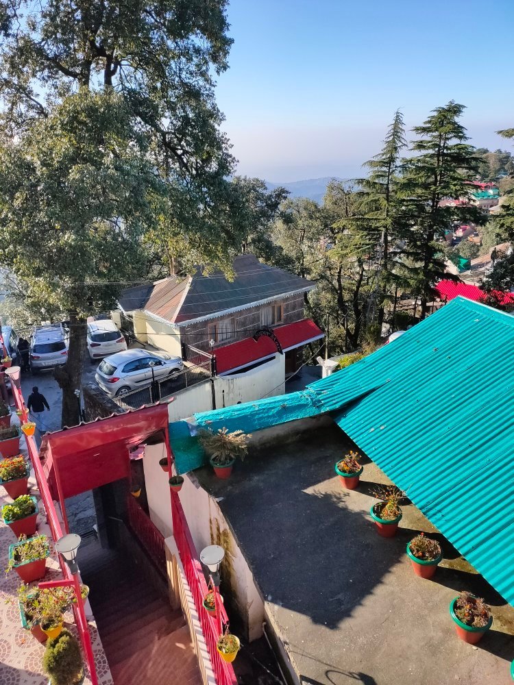 NEW PALACE - Prices & Lodge Reviews (Dalhousie, India) NEW PALACE - Prices &  Lodge Reviews (Dalhousie, India)
