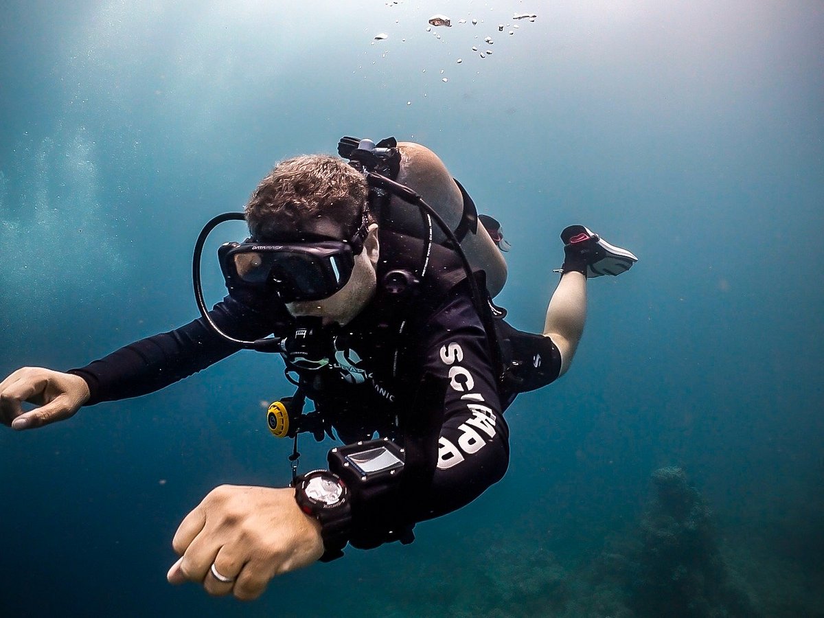 Dive Point Jeddah - All You Need to Know BEFORE You Go