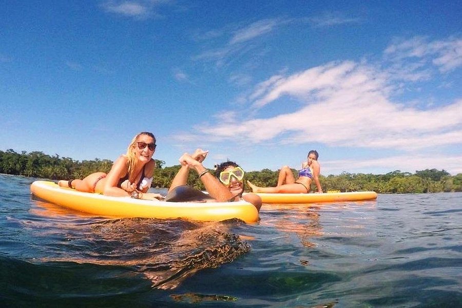 Bocas Stand Up Paddle Club image