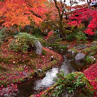 Hogonin Temple, Kyoto