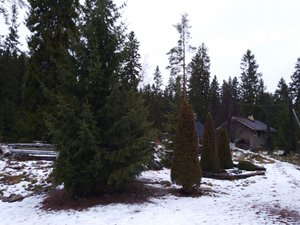Номера и люксы