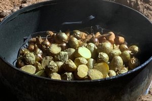 餐饮