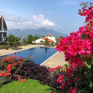 Large swimming pool