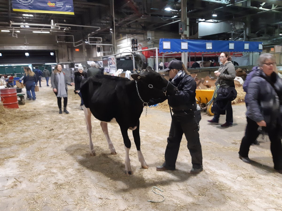 The Royal Agricultural Winter Fair - All You Need to Know BEFORE You Go  (with Photos)