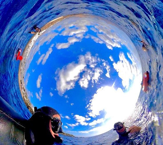 Theta 360: 360 Funny Underwater Fish 