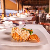Lobster Dishes