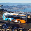 kunanyi/Mt Wellington Explorer Bus