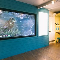 Birds of Poole Harbour Engagement Centre