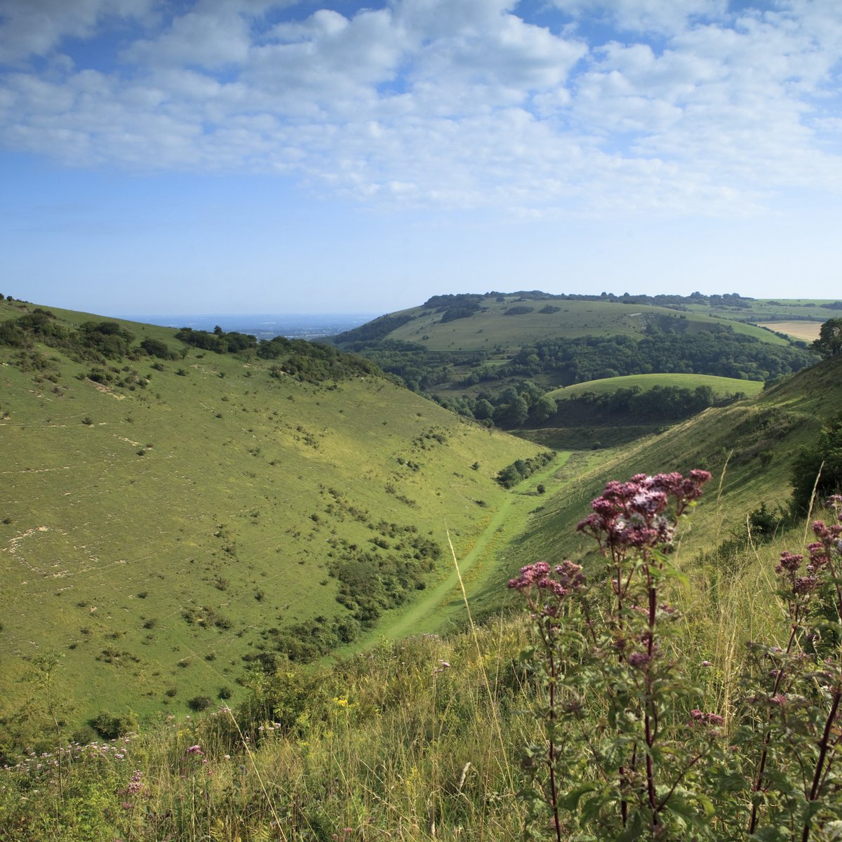 Devil's Dyke National Trust (Brighton): Ce qu'il faut savoir