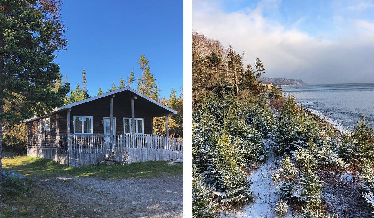 Wreck Cove Wilderness Cabins by null