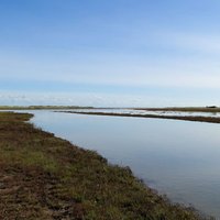 The Raven Nature Reserve | Curracloe | UPDATED August 2022 Top Tips ...