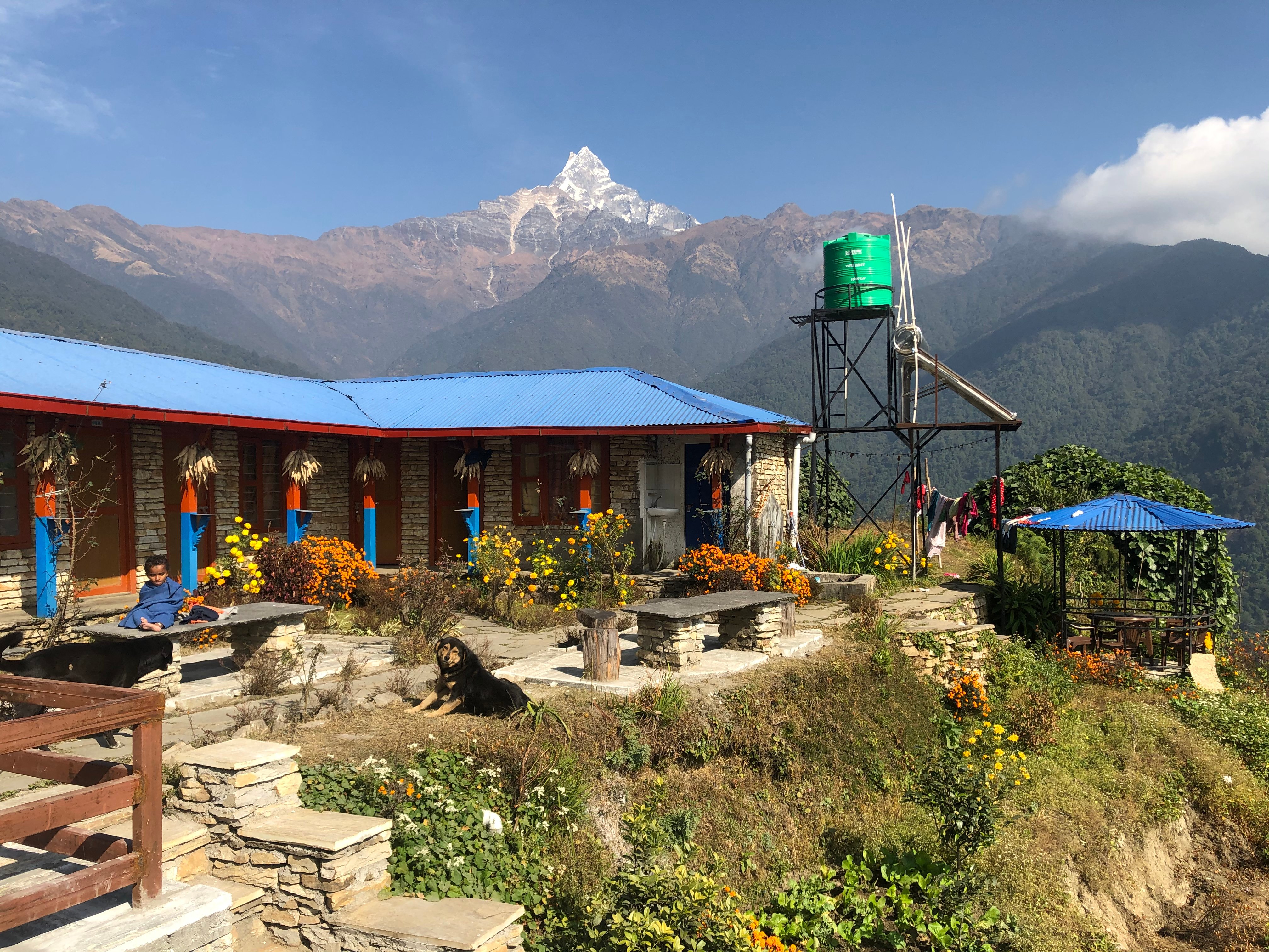 Mardi Himal Eco Village Hotel & Restaurant image