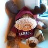 Adam McMoose