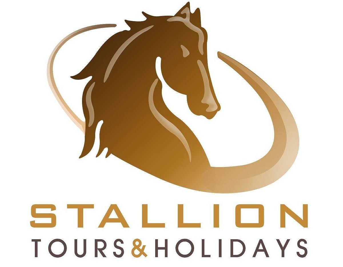 stallion luxury travel ltd