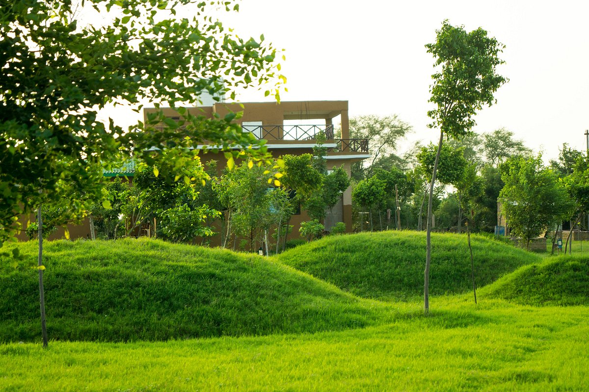 chambal safari bah