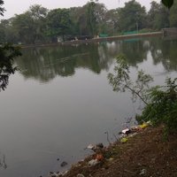 Aarey Colony (Mumbai) - All You Need to Know BEFORE You Go