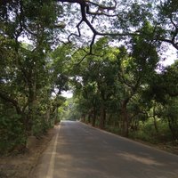 Aarey Colony (Mumbai) - All You Need to Know BEFORE You Go