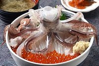 21年 函館朝市どんぶり横丁市場 行く前に 見どころをチェック トリップアドバイザー 21年 函館朝市どんぶり横丁市場 行く前に 見どころをチェック トリップアドバイザー
