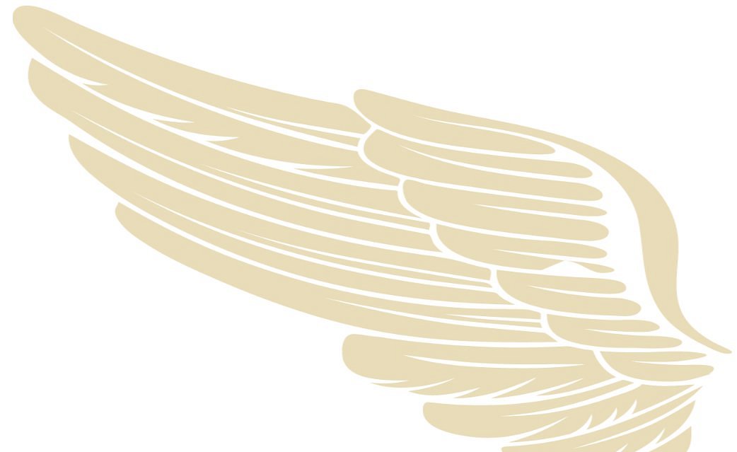 Gold wings clipart