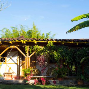 getlstd_property_photo