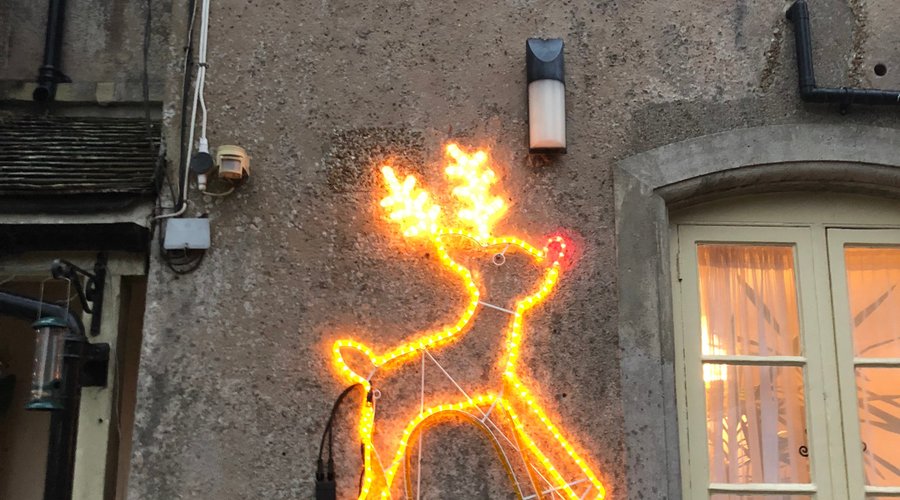 Rudolph's arrived!
