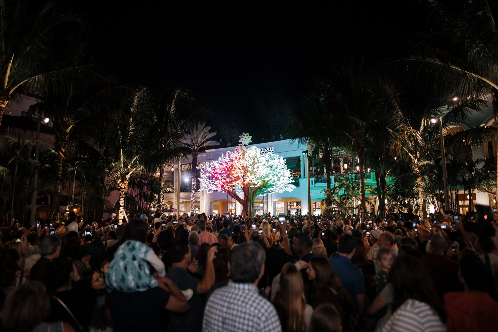 THE SQUARE West Palm Beach Tutto Quello Che C Da Sapere   The Wishing Tree At The 