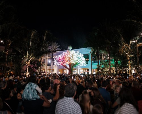 Florida Shopping, Nightlife and Luxury