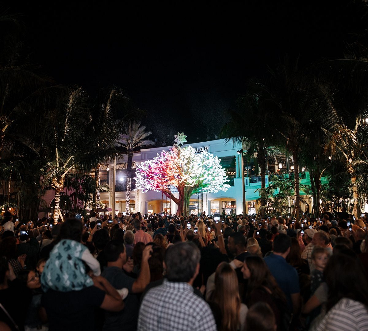 Feria De West Palm Beach 2024 - Rory Walliw